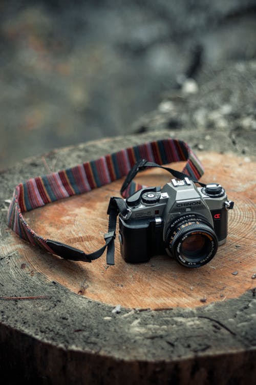 カメラ, シノン, デジタル一眼レフの無料の写真素材