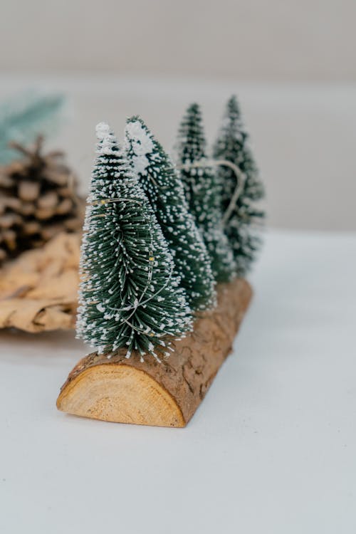 Foto d'estoc gratuïta de arbre de Nadal, arbres, decoració nadalenca