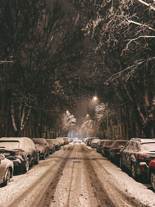Základová fotografie zdarma na téma auta, silnice, sněžení