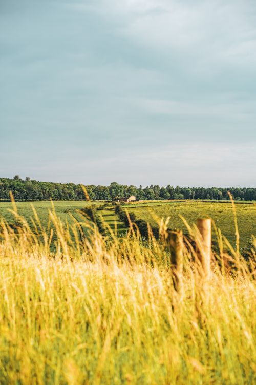 Free A scenic view of lush fields and rolling hills under a bright summer sky. Stock Photo