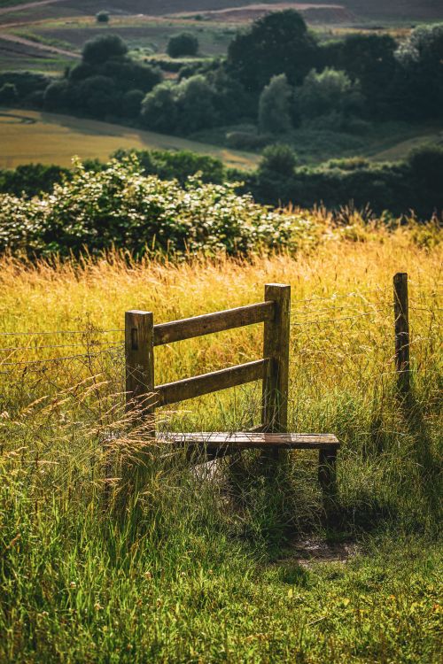 Free Peaceful rural scene featuring a wooden bench in a grassy field under golden light. Stock Photo