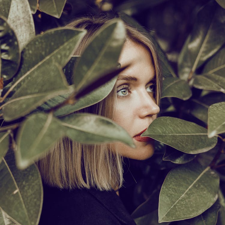 Woman Face Among Leaves