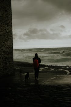 A person with dogs walks along a stormy seashore under a dramatic sky.