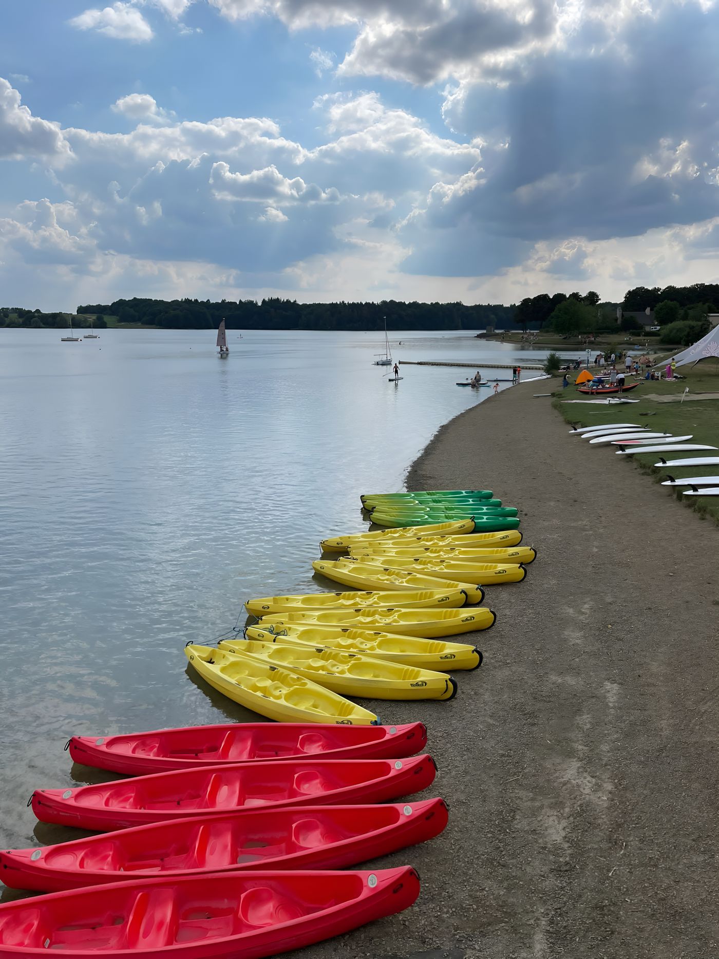 Colorful kayaks arranged on a calm lakeshore