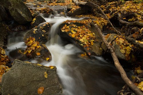 gratis Time Lapse Fotografie Van Stromend Water Stockfoto