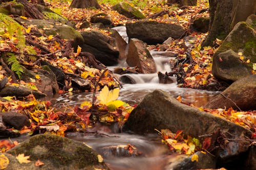 Time Lapse Fotografie Van Rivier