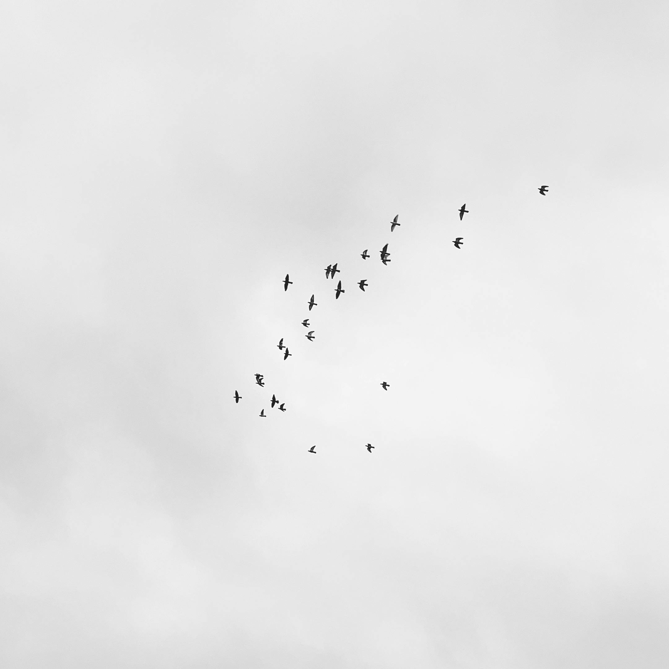 How many times your salary at 40?