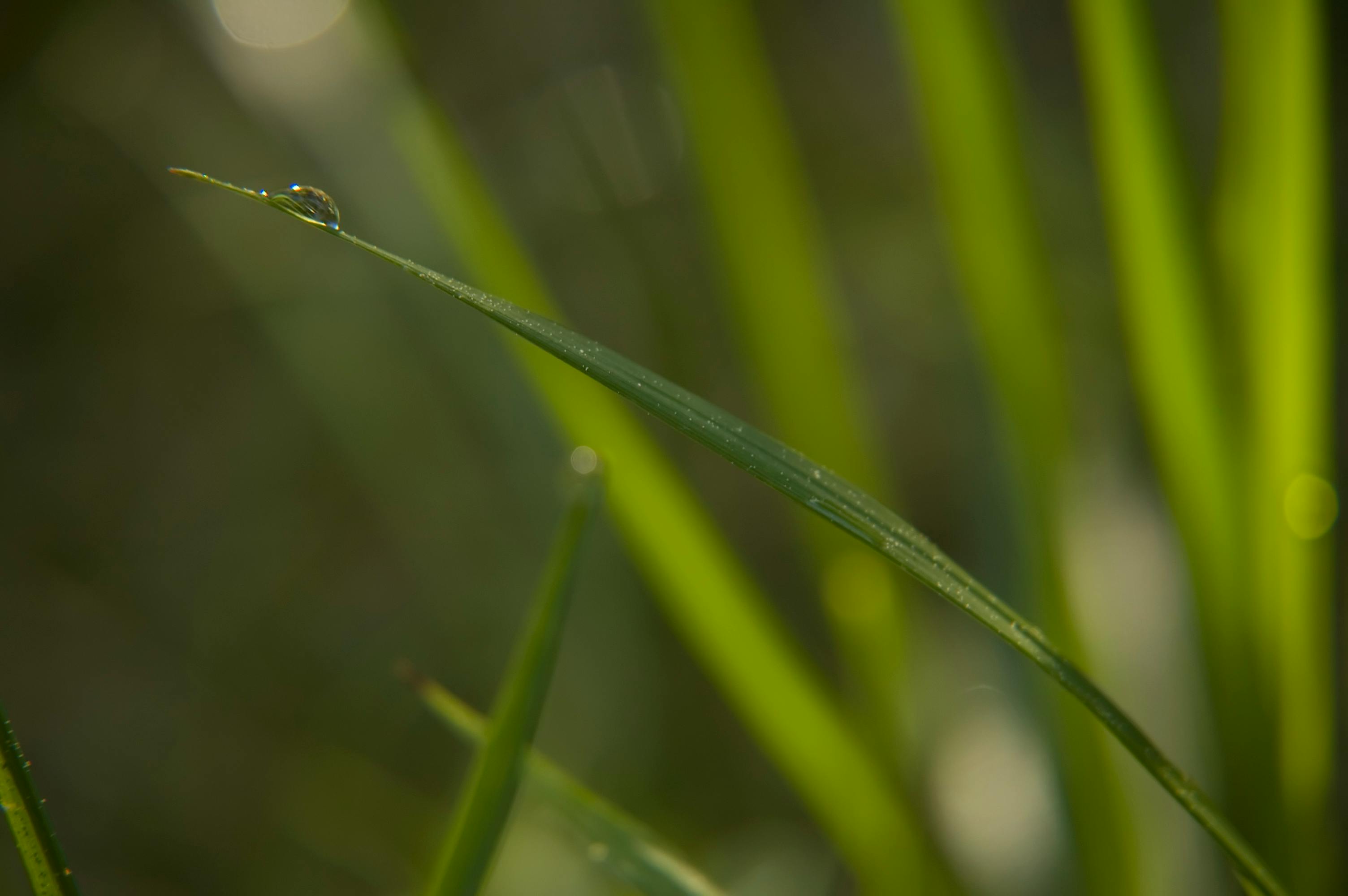 Explore Zermatt Village