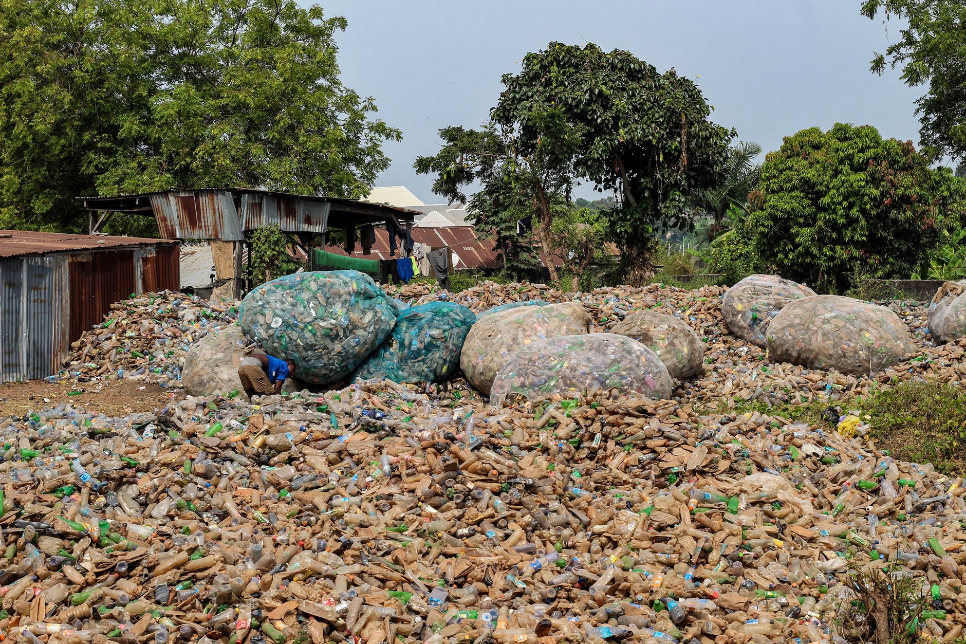 Ocean's Silent Scars: The Epic Battle Against Marine Debris Giants - Visual 1