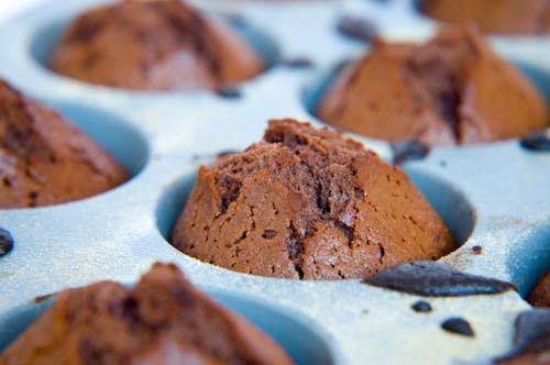 gratis Chocolademuffins In Dienblad Stockfoto