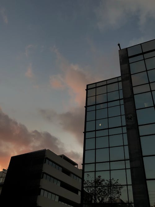 光の反射, 夕焼け色, 建物の背景の無料の写真素材