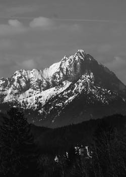 Black and white photo of a towering snow-capped mountain with surrounding forest.