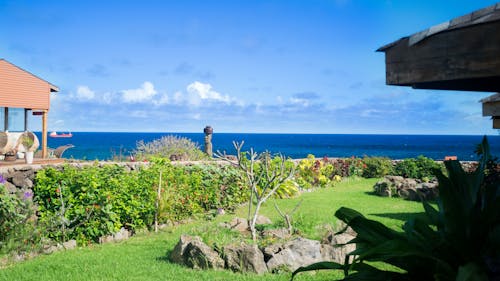 Lawn by the Sea in Sunlight 