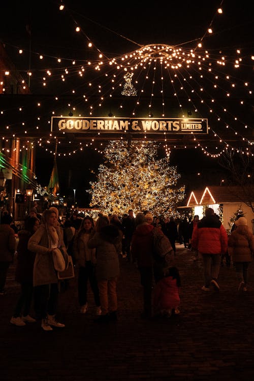 A Set of People Under Hanging Lights Near a Christmas Tree During Night Time