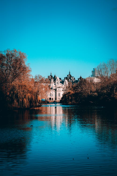 Foto d'estoc gratuïta de aigua, arbres, cel blau