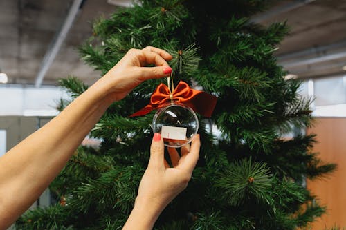 Photos gratuites de aiguilles, arbre, boule de Noël