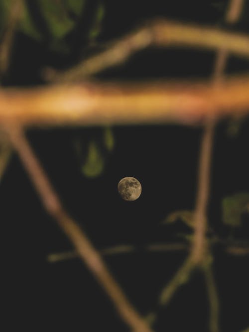 Kostnadsfri bild av fullmåne, månfotografering, nattetid