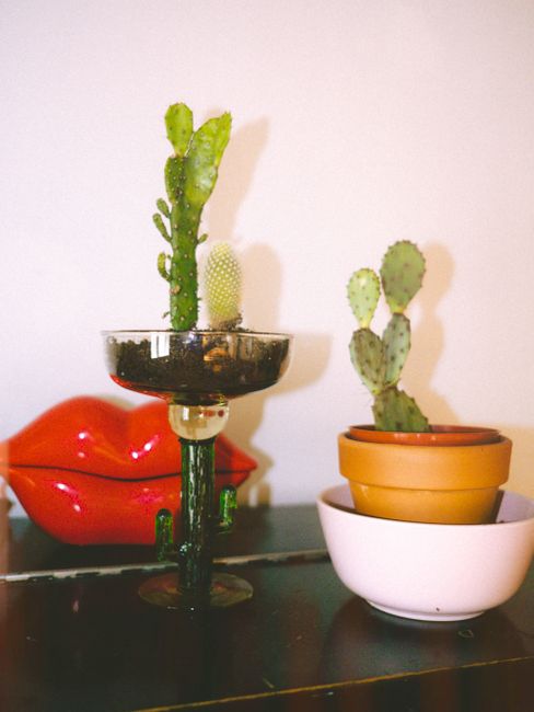 Unique cactus display in stylish pots with bold red lips decor in a modern indoor setting.