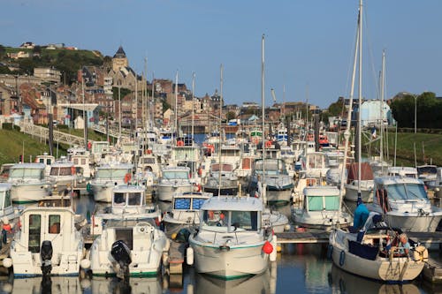 Gratis stockfoto met boten, de haven van le treport, Frankrijk Stockfoto