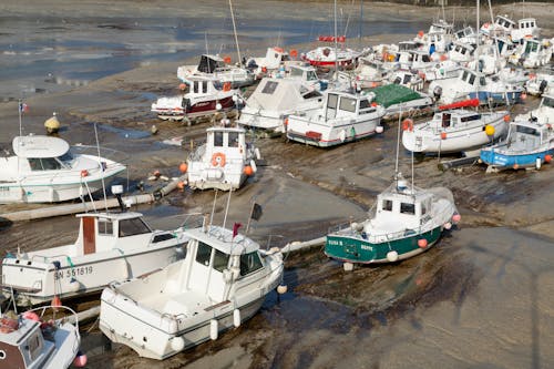 Boats in a Harbor 