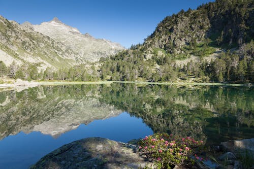 Scenic View of a Placid Lake Across the Mountains