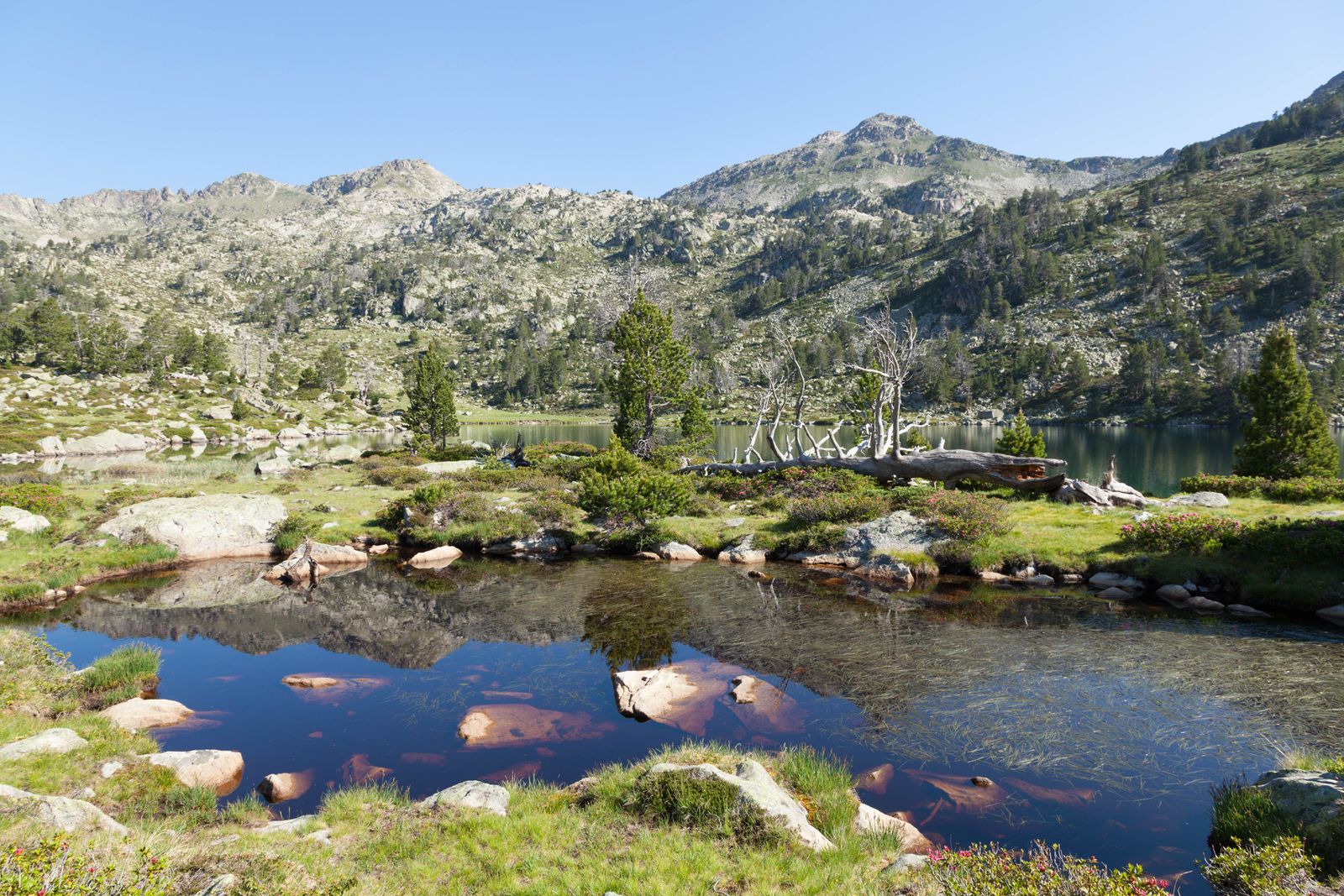 Lago de montaña rodeado de prados en verano