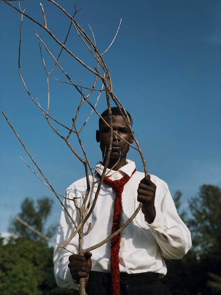 Man In Shirt Holding Branches