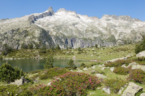 Free View of a Lake and Mountain in the French Pyrenees Stock Photo