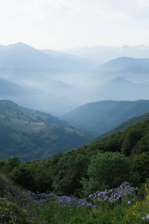 Základová fotografie zdarma na téma hory, kopce, mlha