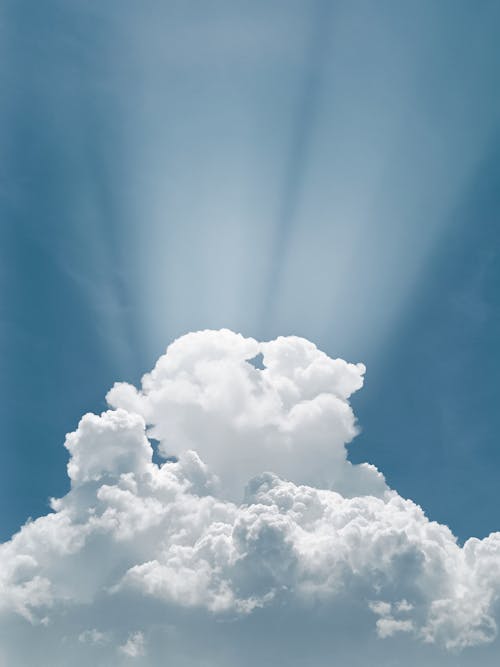垂直ショット, 天国, 太陽の光の無料の写真素材