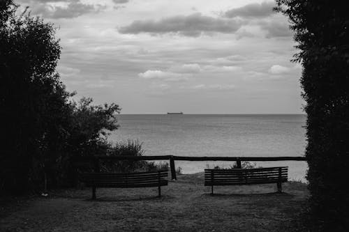 Grayscale Photo of Benches Near the Sea