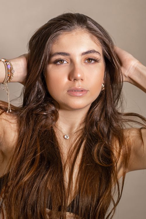 Free A close-up portrait of a woman with long brown hair posing gracefully. Stock Photo
