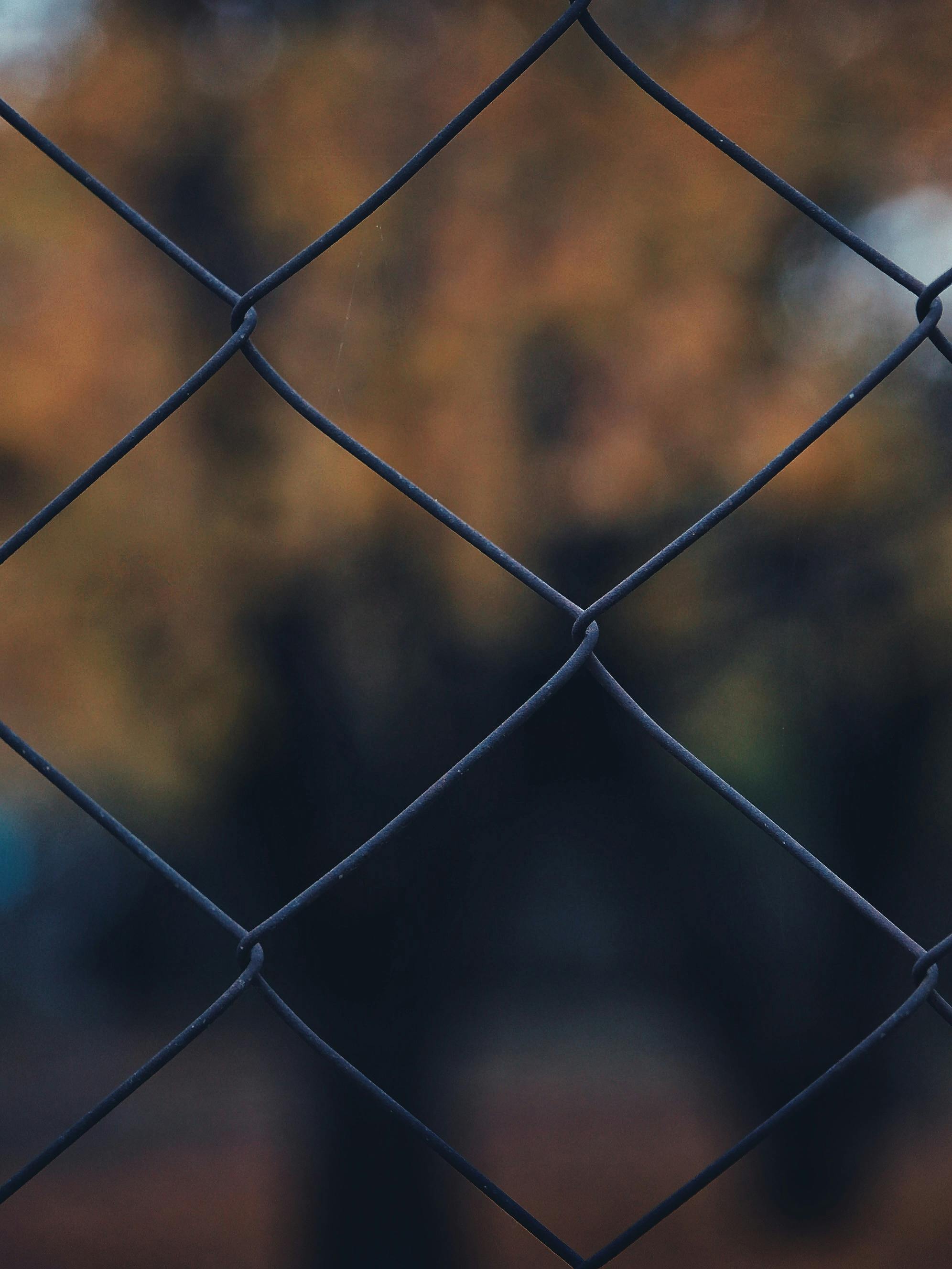 Close-Up Shot of Supreme Long Sleeve · Free Stock Photo