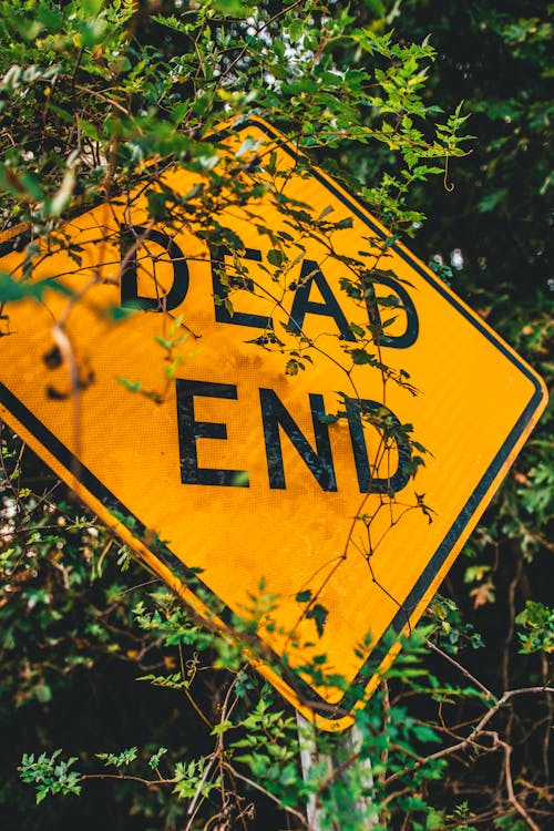 Free Dead End Road Sign Stock Photo