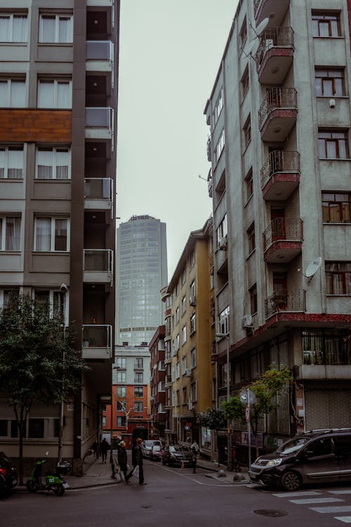 Buildings with Apartments by Street in City