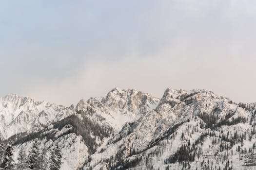 Majestic snow-capped mountains with sparse trees under a serene blue sky.