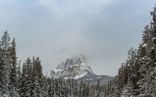 ağaçlar, gökyüzü, karla kaplı dağ içeren Ücretsiz stok fotoğraf