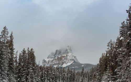 Free A scenic winter view of a snowcapped mountain surrounded by dense coniferous forest under a cloudy sky. Stock Photo