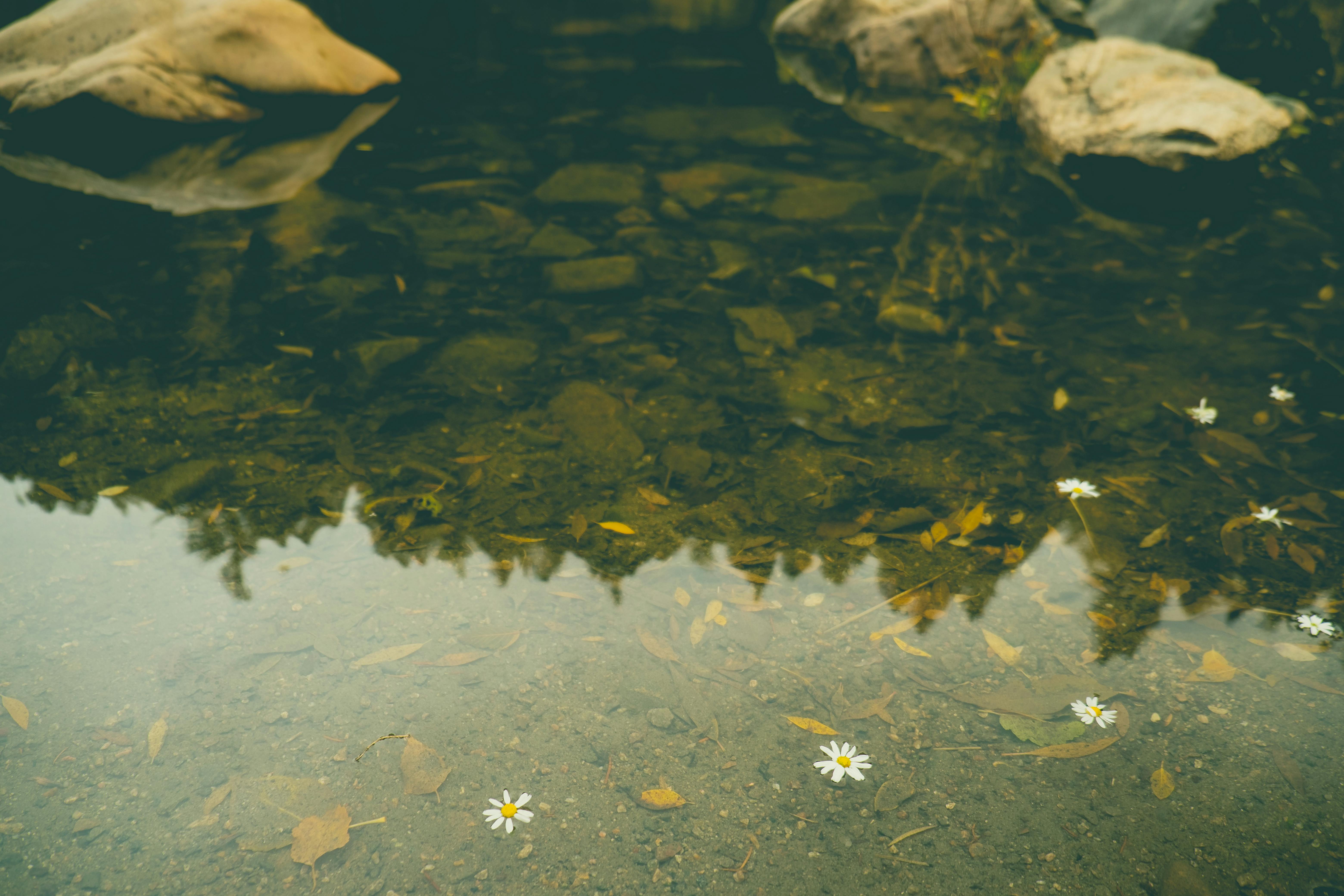 What's floating in my urine?