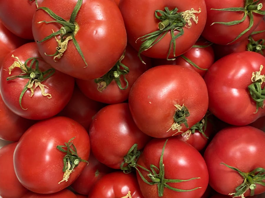 Will tomatoes spike blood sugar?