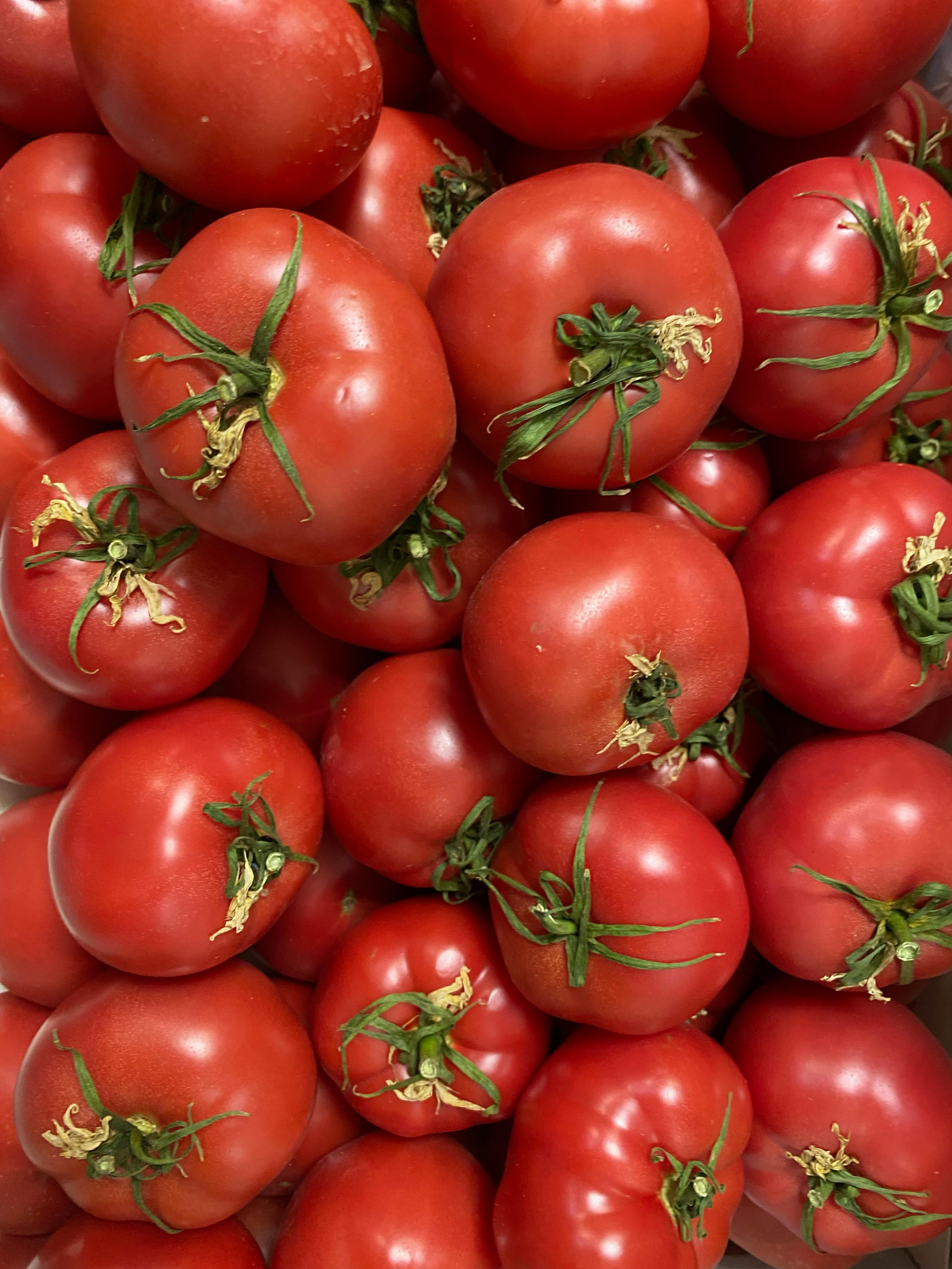 Healthy Gummies Photos, Download Free Healthy