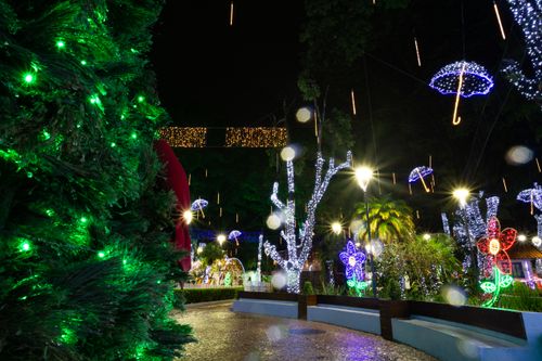 Free Explore a vibrant park at night adorned with colorful lights and festive decorations, perfect for holiday celebrations. Stock Photo