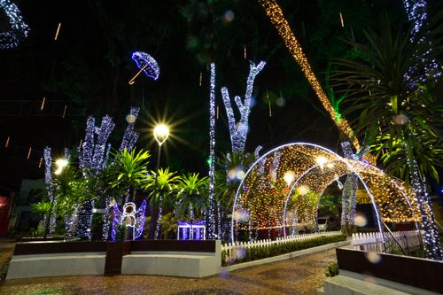 Free Enchanting urban park at night with illuminated pathways and festive decorations. Stock Photo