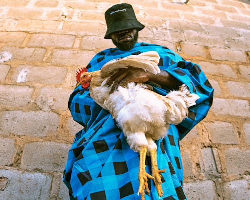 adam, afrikalı adam, dar açılı çekim içeren Ücretsiz stok fotoğraf