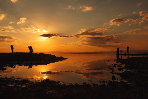 Photos gratuites de coucher de soleil, debout, fond d'écran