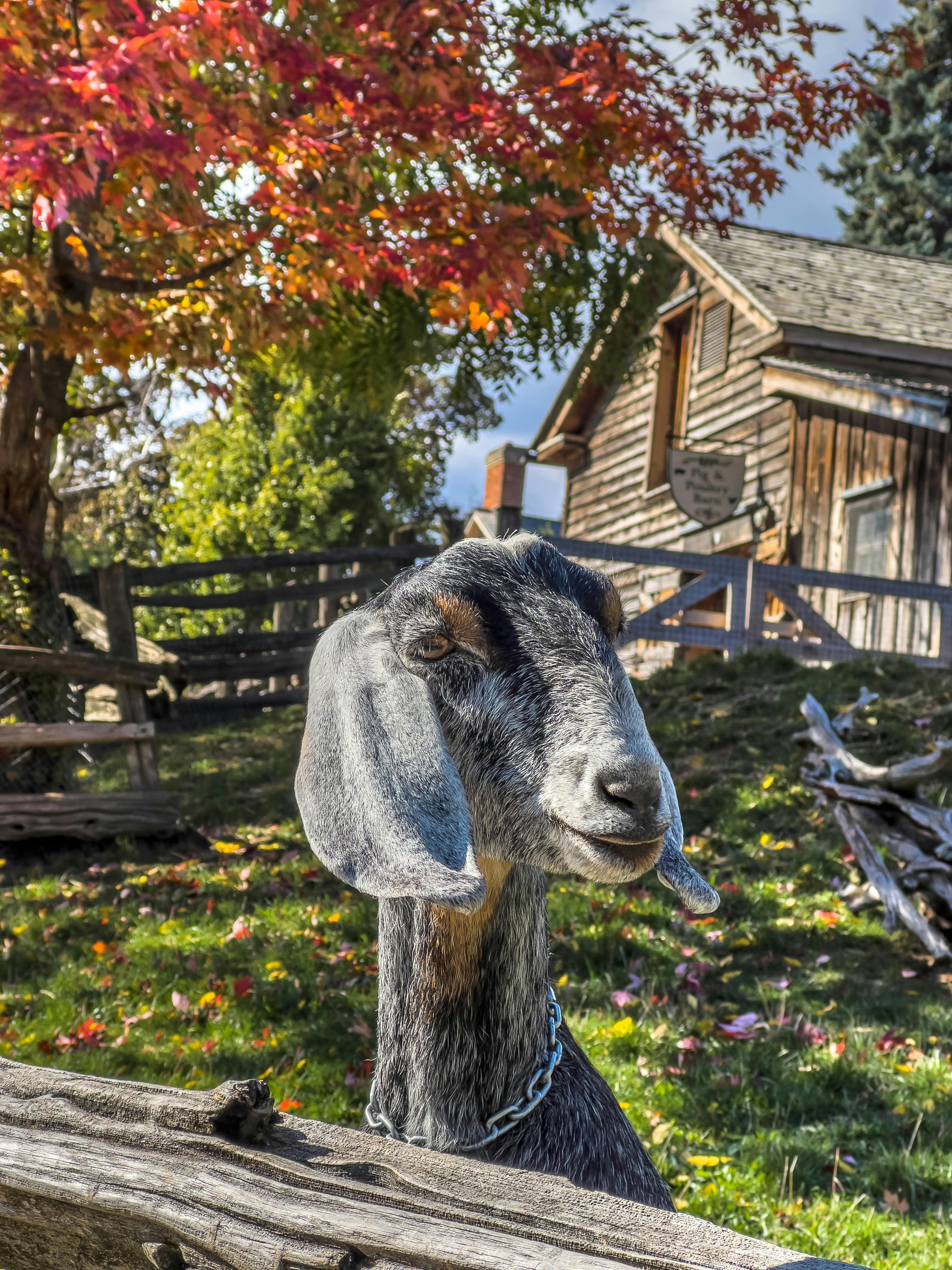 Head Outline Photos, Download The BEST Free Head Outline Stock Photos ...