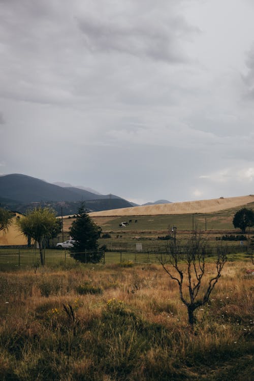 Immagine gratuita di agriturismo, alberi, campagna