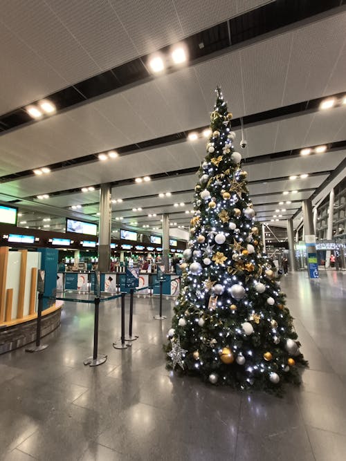 Free stock photo of air travel, airport terminal, christmas atmosphere