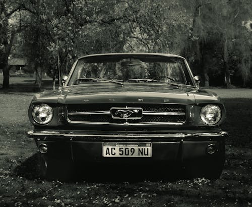 Close up of a1965 Ford Mustang  between trees