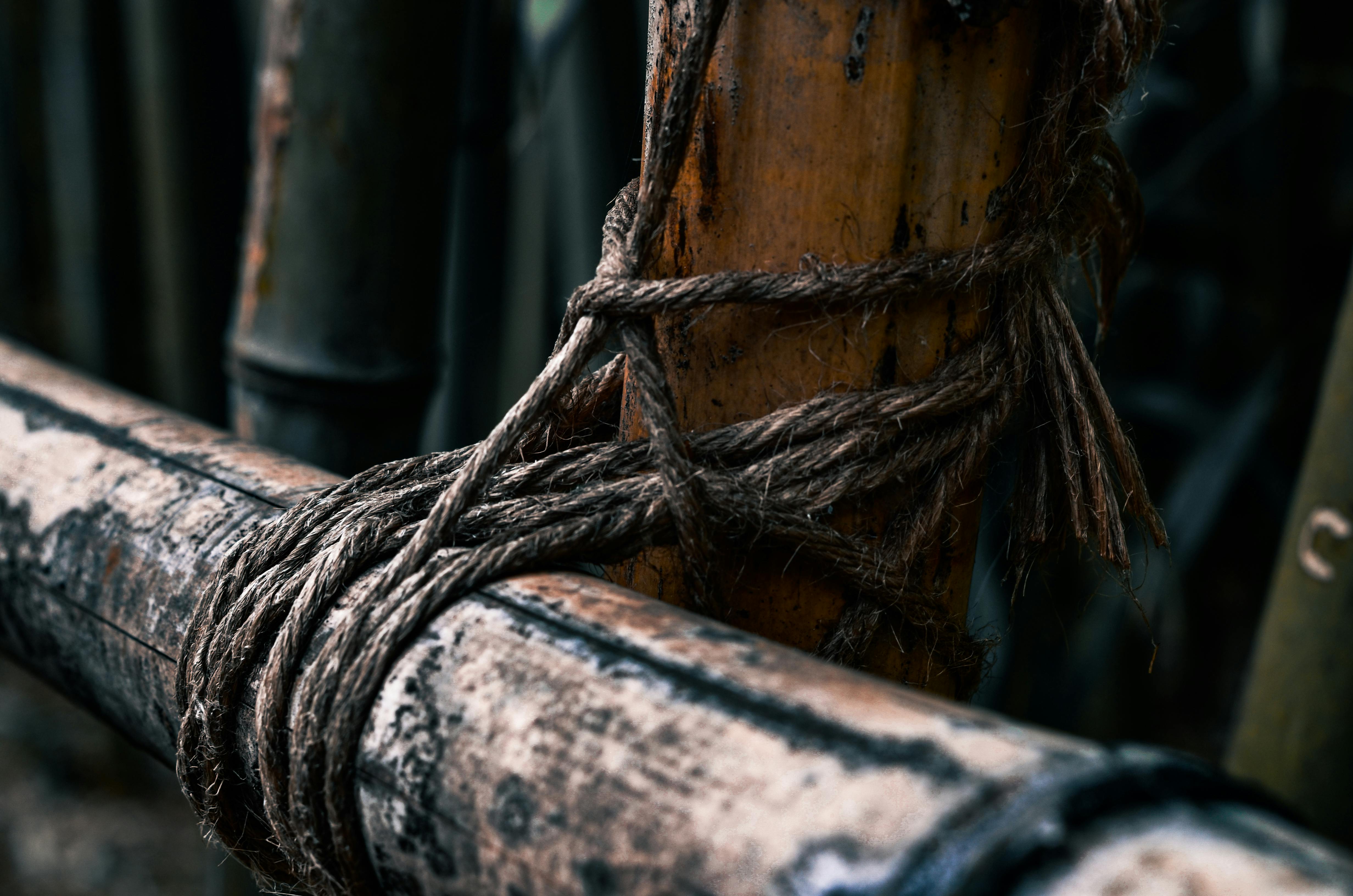 Orange Rope Wrapped Brown Wood Log · Free Stock Photo